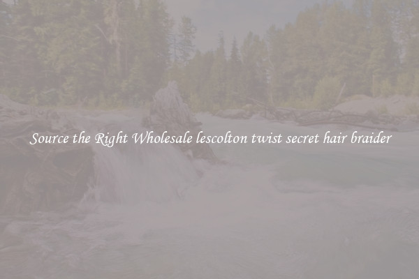 Source the Right Wholesale lescolton twist secret hair braider 