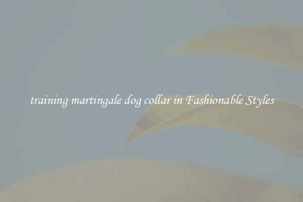 training martingale dog collar in Fashionable Styles