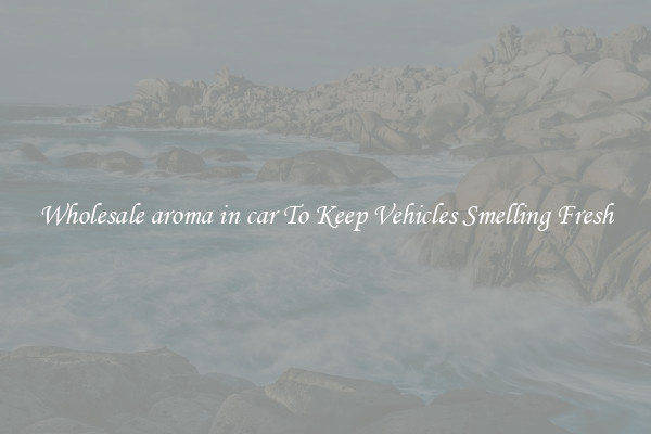 Wholesale aroma in car To Keep Vehicles Smelling Fresh