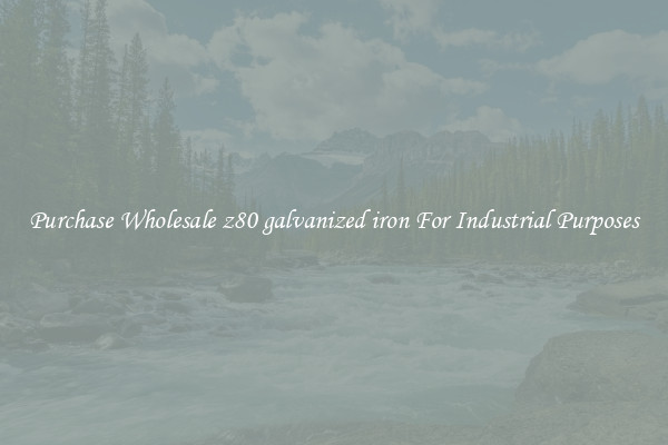 Purchase Wholesale z80 galvanized iron For Industrial Purposes