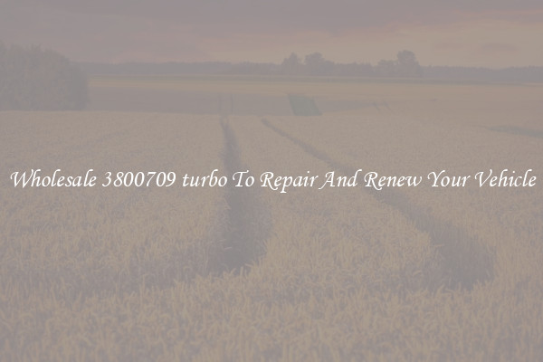 Wholesale 3800709 turbo To Repair And Renew Your Vehicle