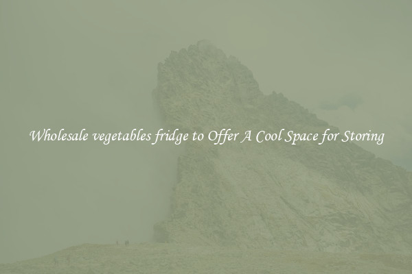 Wholesale vegetables fridge to Offer A Cool Space for Storing