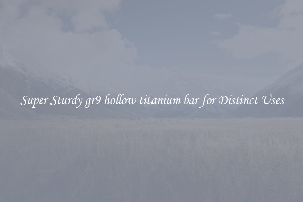 Super Sturdy gr9 hollow titanium bar for Distinct Uses