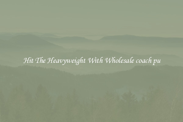 Hit The Heavyweight With Wholesale coach pu