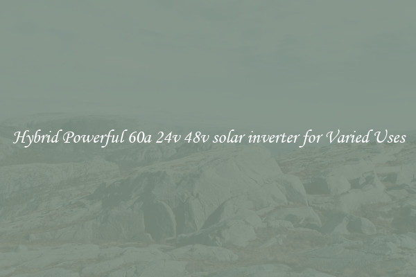 Hybrid Powerful 60a 24v 48v solar inverter for Varied Uses