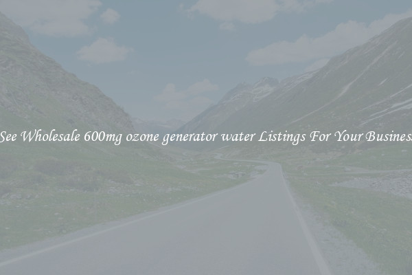 See Wholesale 600mg ozone generator water Listings For Your Business