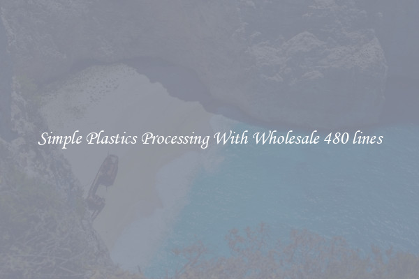 Simple Plastics Processing With Wholesale 480 lines