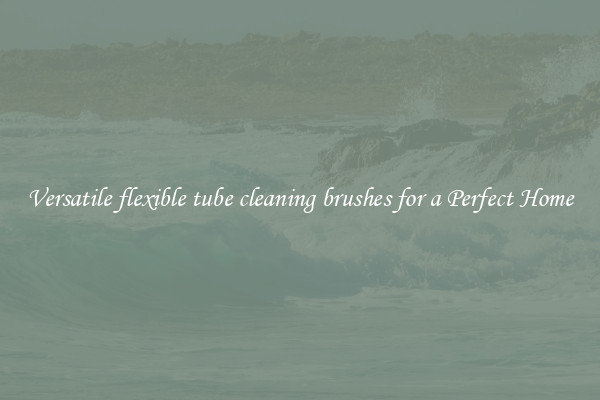 Versatile flexible tube cleaning brushes for a Perfect Home
