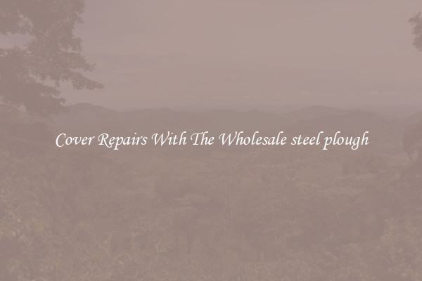  Cover Repairs With The Wholesale steel plough 