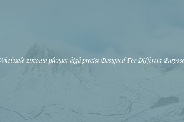 Wholesale zirconia plunger high precise Designed For Different Purposes