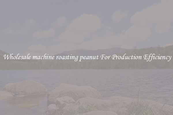 Wholesale machine roasting peanut For Production Efficiency