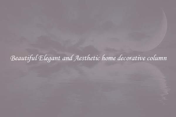 Beautiful Elegant and Aesthetic home decorative column