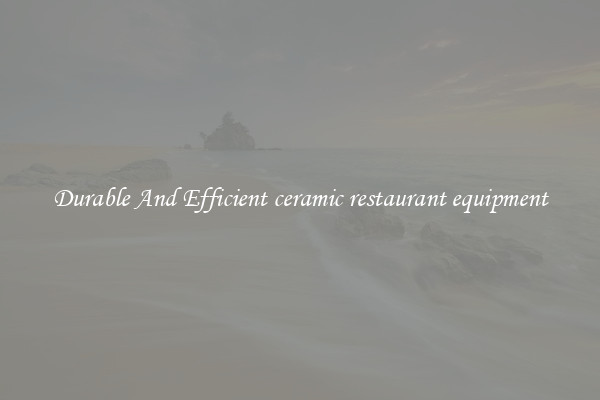 Durable And Efficient ceramic restaurant equipment