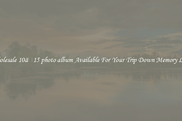Wholesale 10ã15 photo album Available For Your Trip Down Memory Lane