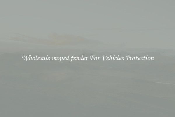 Wholesale moped fender For Vehicles Protection